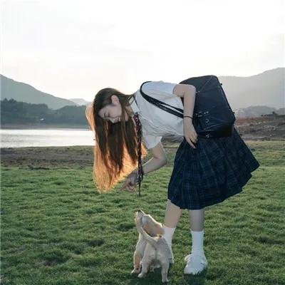 霸王大系龙骑士