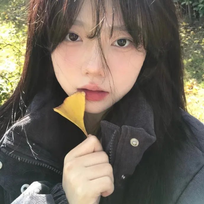 公司业务